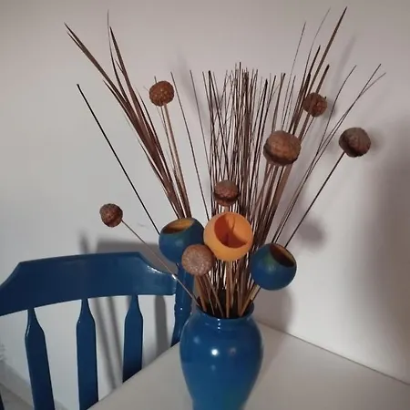Apartamento Lucica