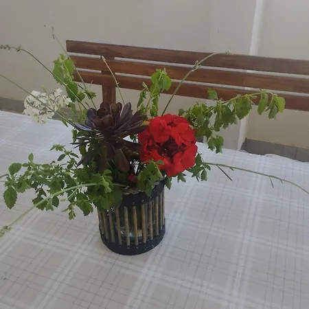 Apartamento Lucica *