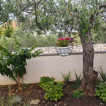 Appartement Lucica *