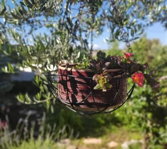 Апартаменты Lucica *